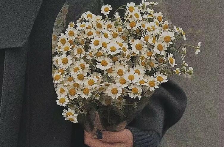 形容周末生活的经典语录文案