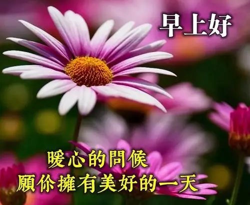 向同学早上问好的经典句子文案