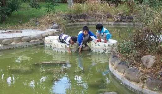 小孩子玩水的句子文案