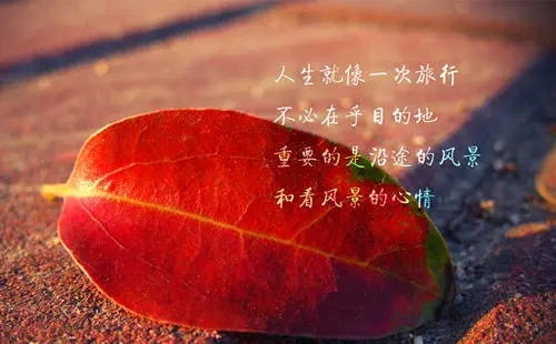 非常有道理的人生句子文案