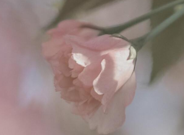 文案高级感温柔