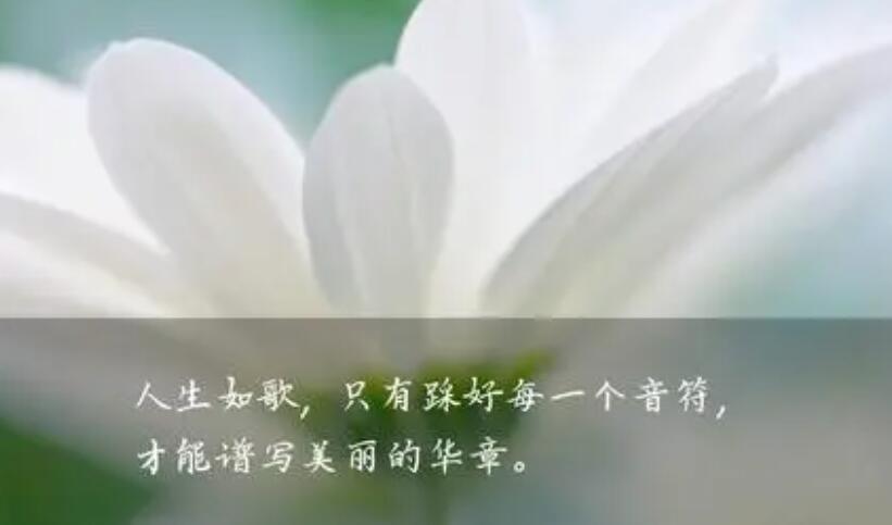 迷人的语句文案