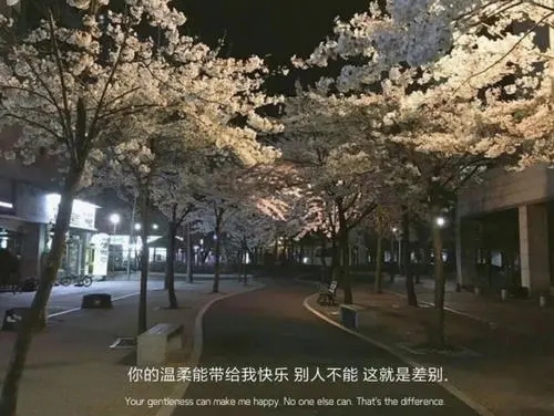 送给自己的温柔文案