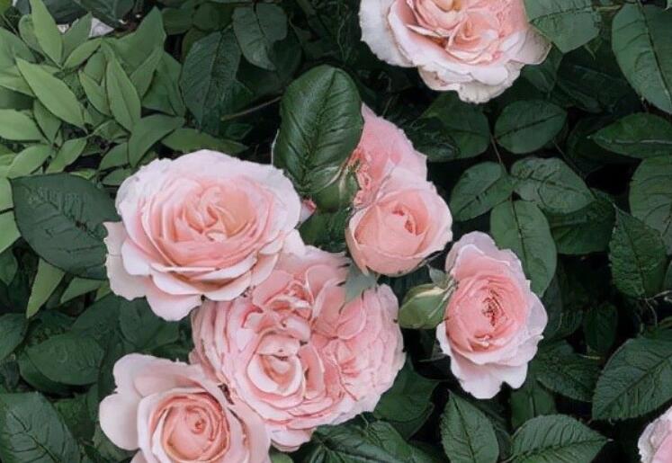 心情失望怎么发朋友圈