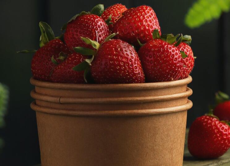 表达潇洒的唯美句子文案