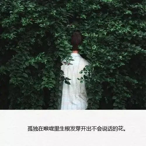 特别扎心的句子文案简短