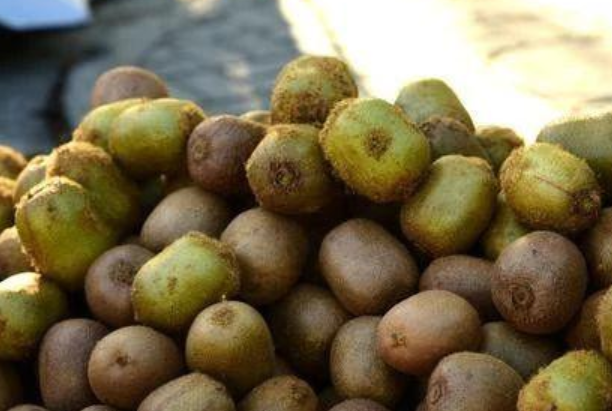 农村的味道经典语录文案