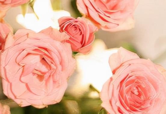 早上幽默的问候语