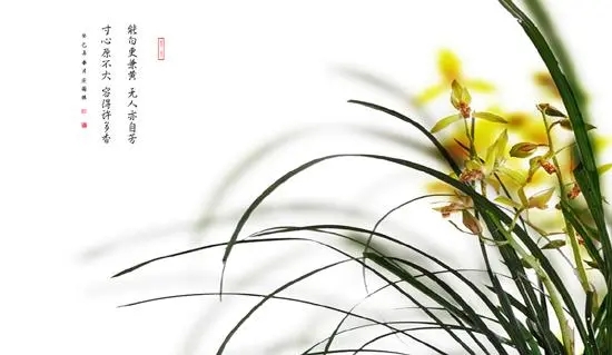 描写兰花的唯美句子文案