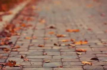 秋天的心情句子文案短句唯美