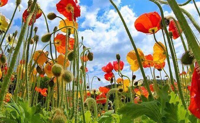 睡觉前发个幽默的说说文案