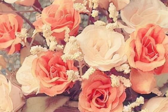 早安问候语大全最美一句话