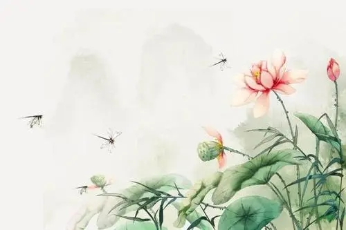 莲花圣洁高雅诗句文案