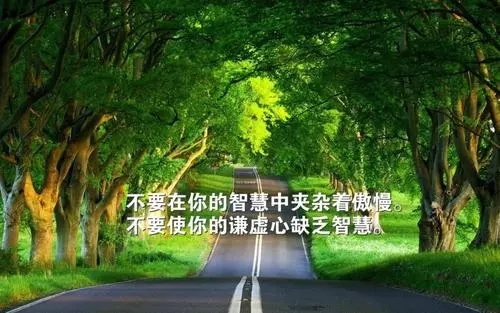 销售早安心语正能量