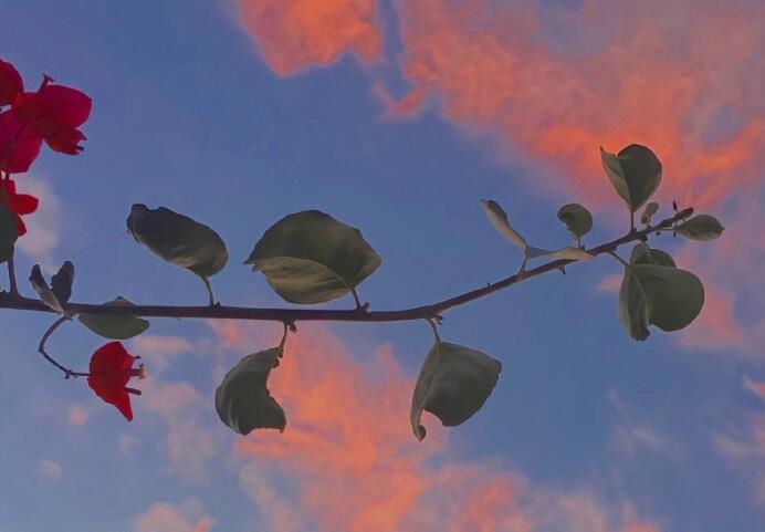 甜甜的说说文案