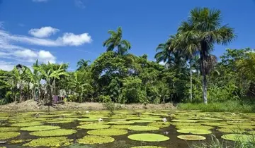 世界森林日的长名句文案