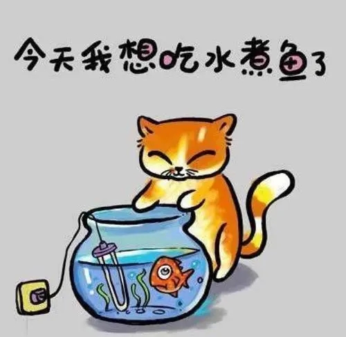 幽默的吃鱼语录文案
