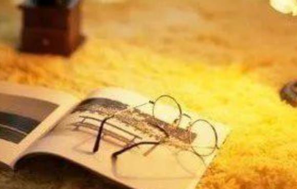 最火的励志情感语录文案