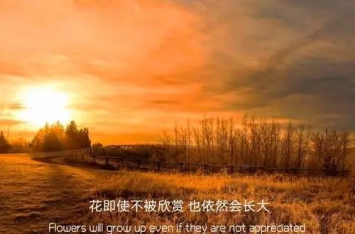 描写黄昏暮色的唯美句子文案