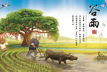 谷雨时节的诗