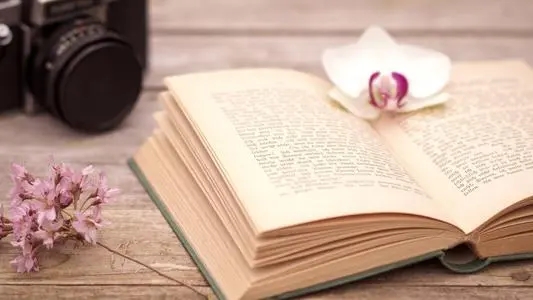 名句文案摘抄励志