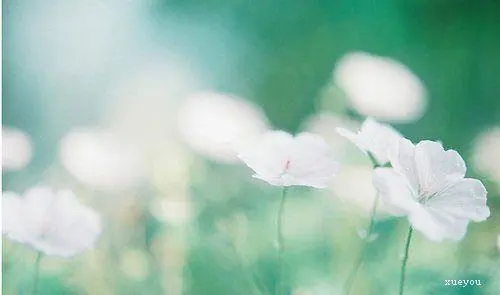 恋人早安温馨幽默问候语