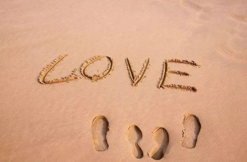 默默付出的经典句子文案