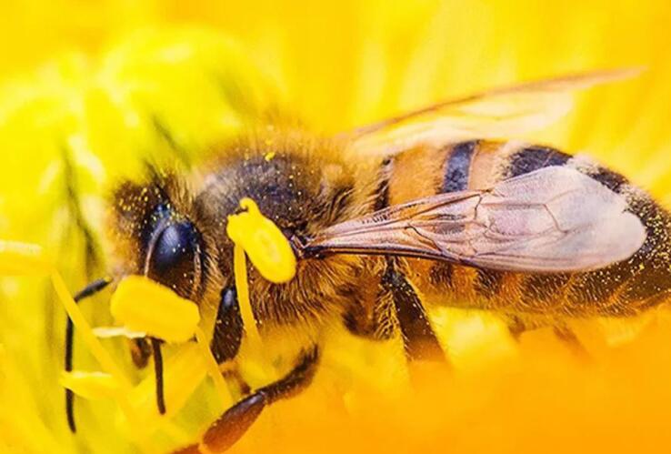 早上好努力加油句子文案