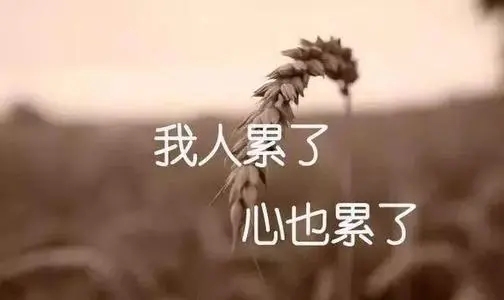 心碎心累绝望的说说文案