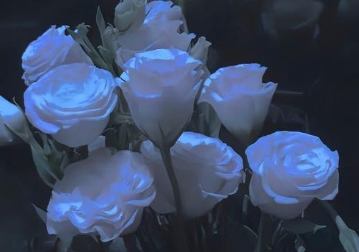 心情不好想家的句子文案伤感