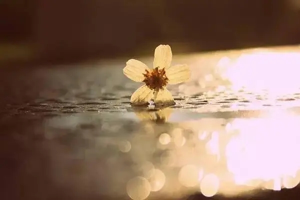 提高业绩的正能量句子文案