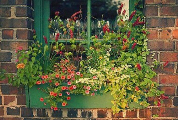 回忆高三的文案