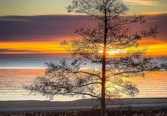 天冷了早安暖心句子文案