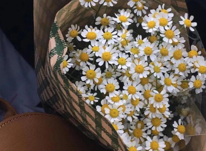 能力与野心的经典句子文案