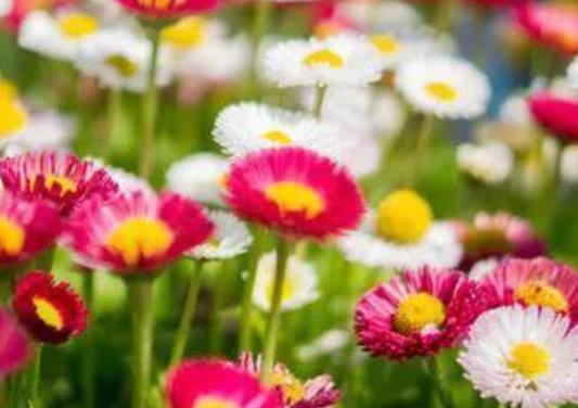 情侣在一起的句子文案简短