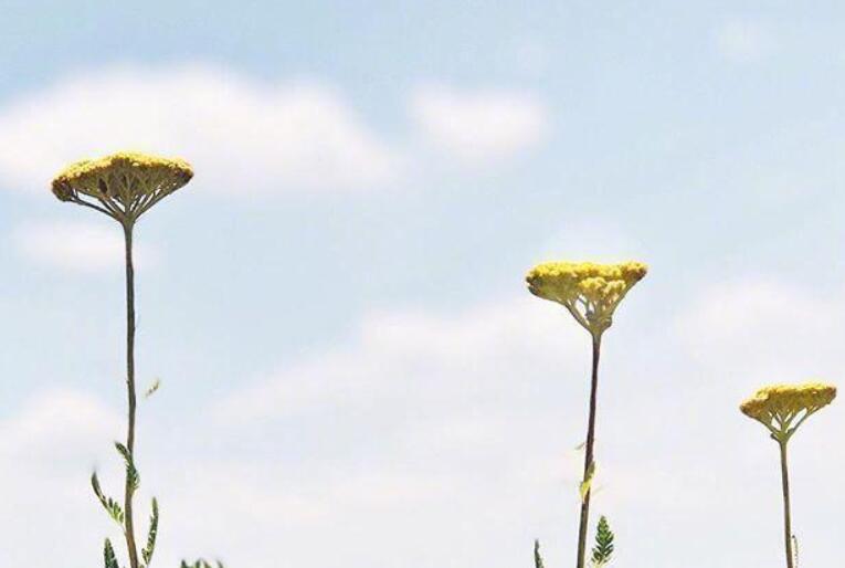 2024年早上好问候美句