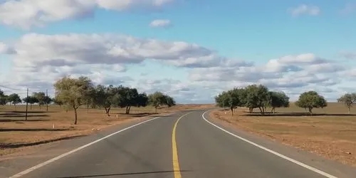 路上车少人少的句子文案