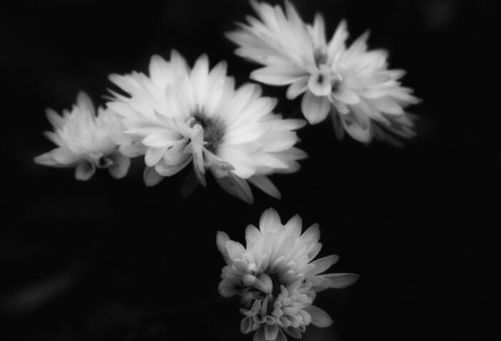 用难过写一段话