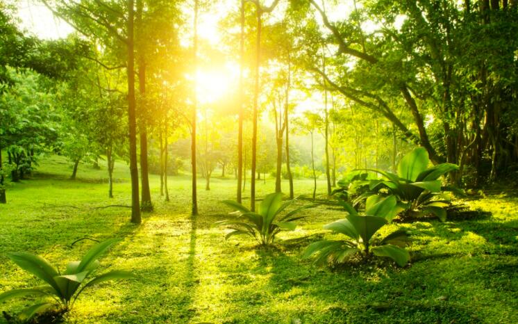 每日温暖语录文案