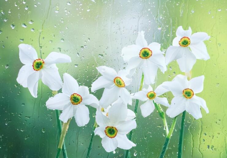 短小精悍的名言警句