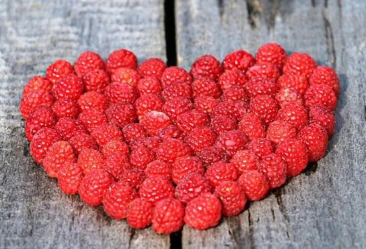 努力加油正能量的句子文案