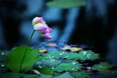 让夏天凉快点的诗句文案