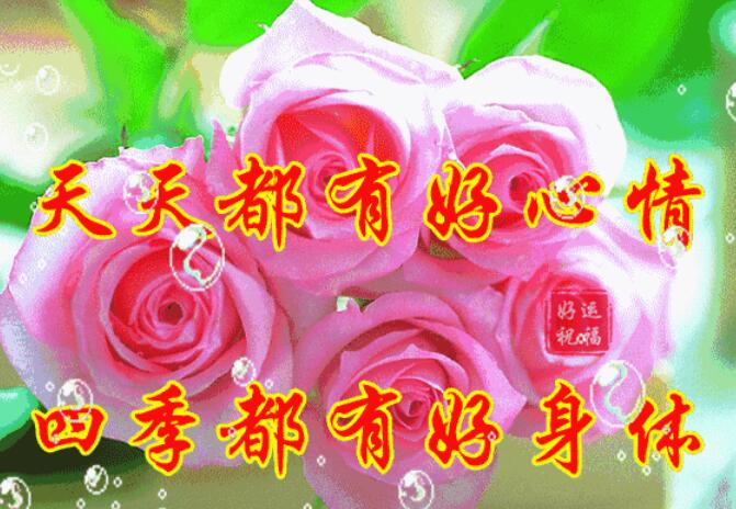 各种问候语的动态图片