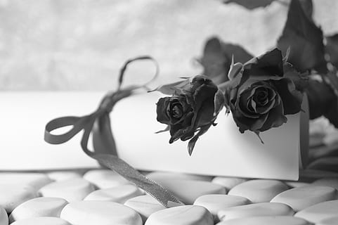 我又想你了的说说文案思念