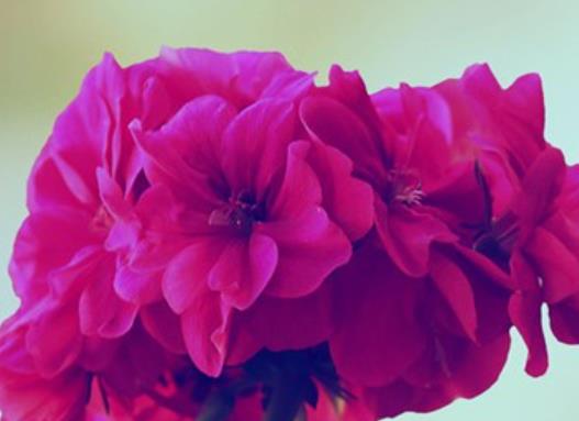 十句好词好句精美句子文案