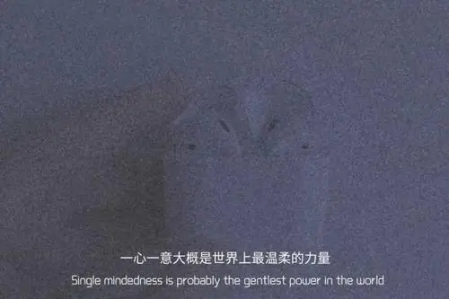 适合@对象的说说文案