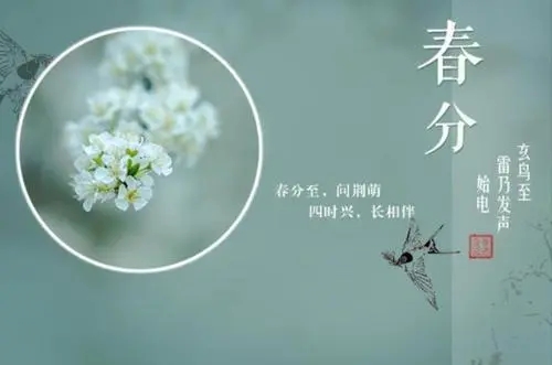 春的气息文艺句子文案