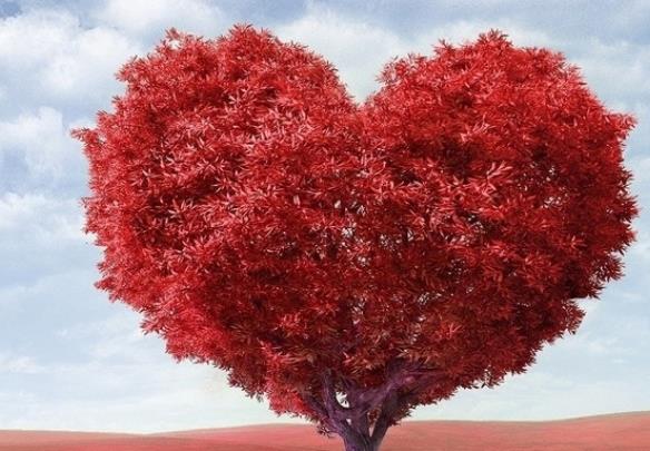 读书笔记一页摘抄