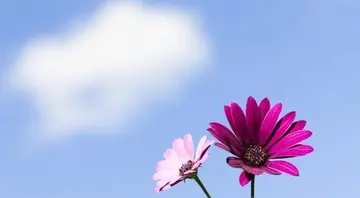 早安暖心话短句