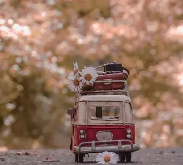 身在远方心在你身边的美句子文案